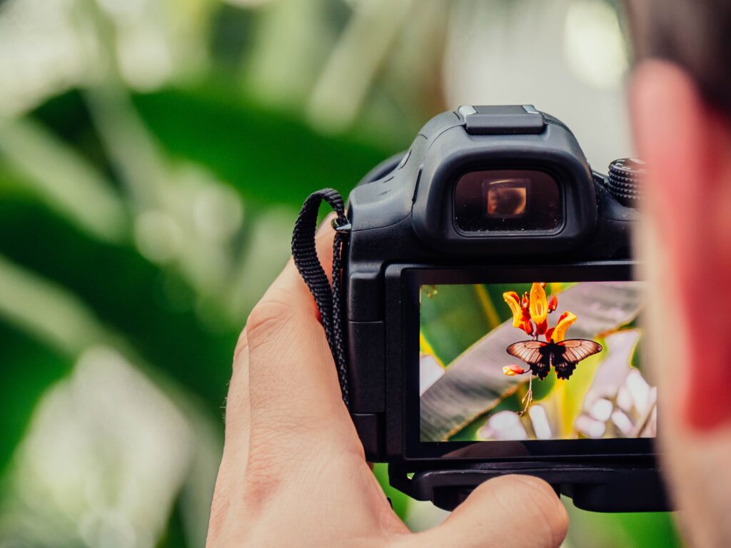 photography that small businesses can use to represent their business online.